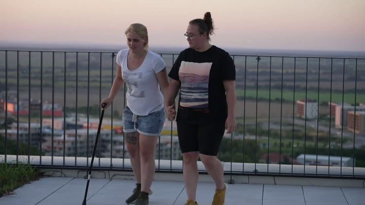 V7N - Martina skleroza multiplex